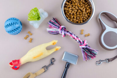 dried food for pets, leash and toys with comb
