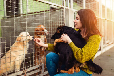 Young woman in dog shelter playing with dogs