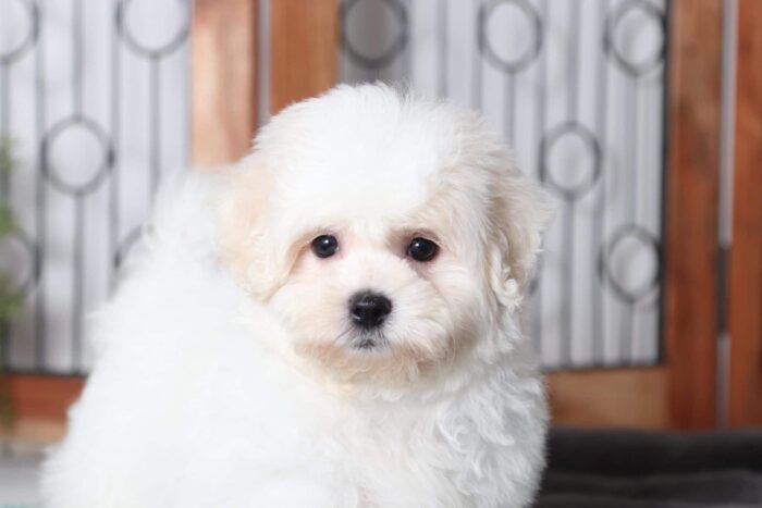 Jaxon2-scaled-1.jpg