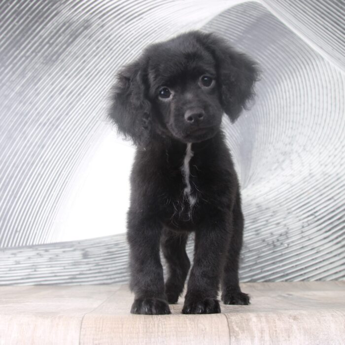 Leo-06-scaled-1.jpg