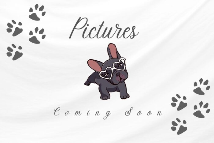 Picture-Coming-Soon.jpg