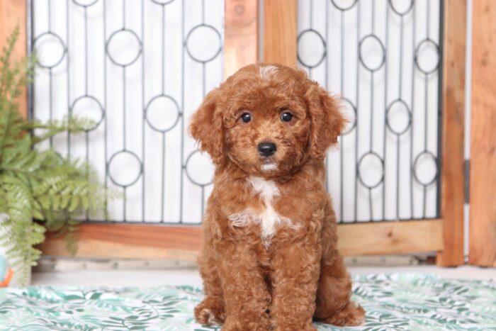 baxter1-4-scaled-1.jpg