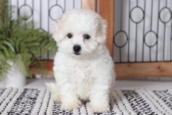buster1-2-scaled-1.jpg