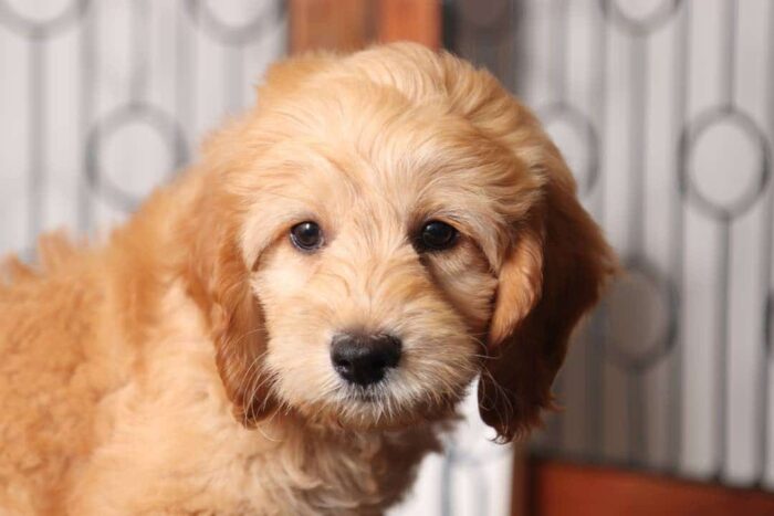 charlie2-6-1.jpg