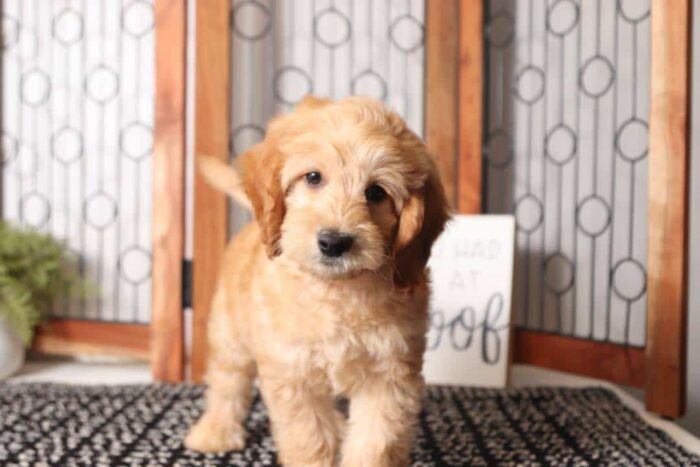 charlie4-5-1.jpg