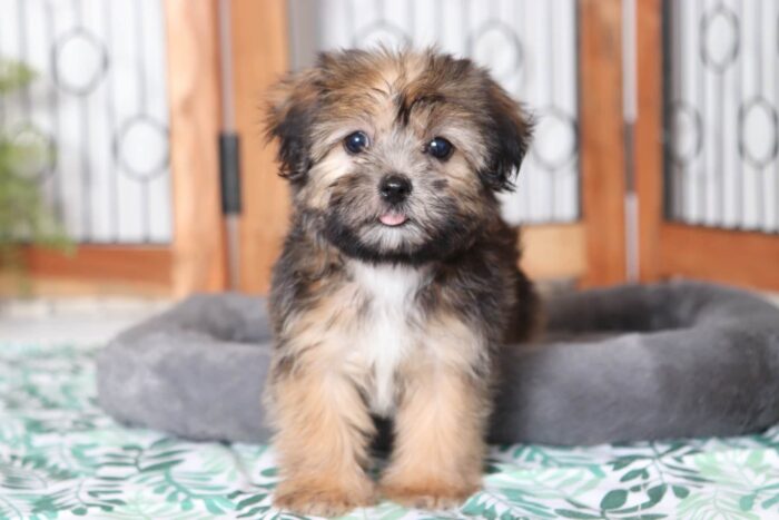 finley1-scaled-1.jpg