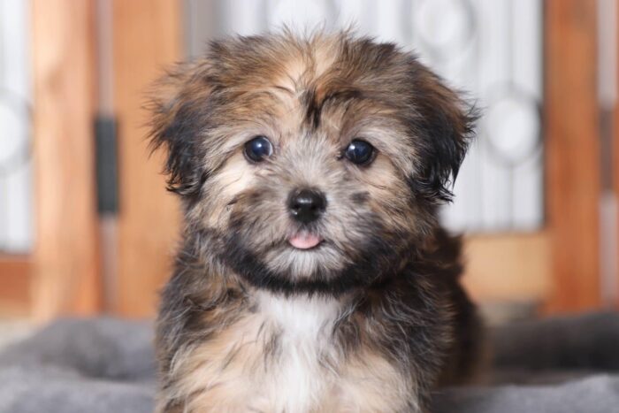 finley2-scaled-1.jpg