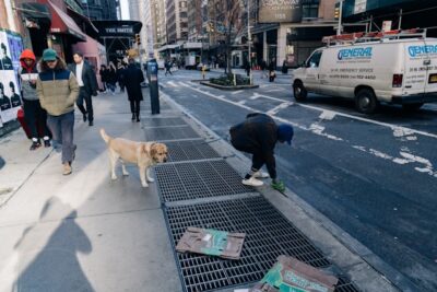 owner picking up dog's poop