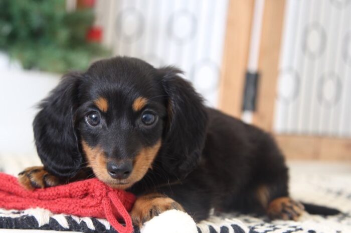 oscar1-1-3.jpg