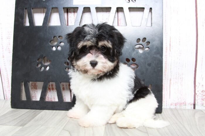 pepper1-2-1.jpg