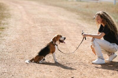 woman with obedient dog sitting on countryside road