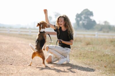 woman teaching dog to beg