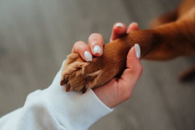 Woman holding dog paw