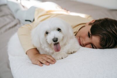 A Kid Lying Down with His Maltese Dog