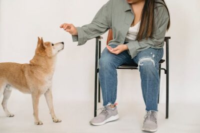 woman training Shiba inu